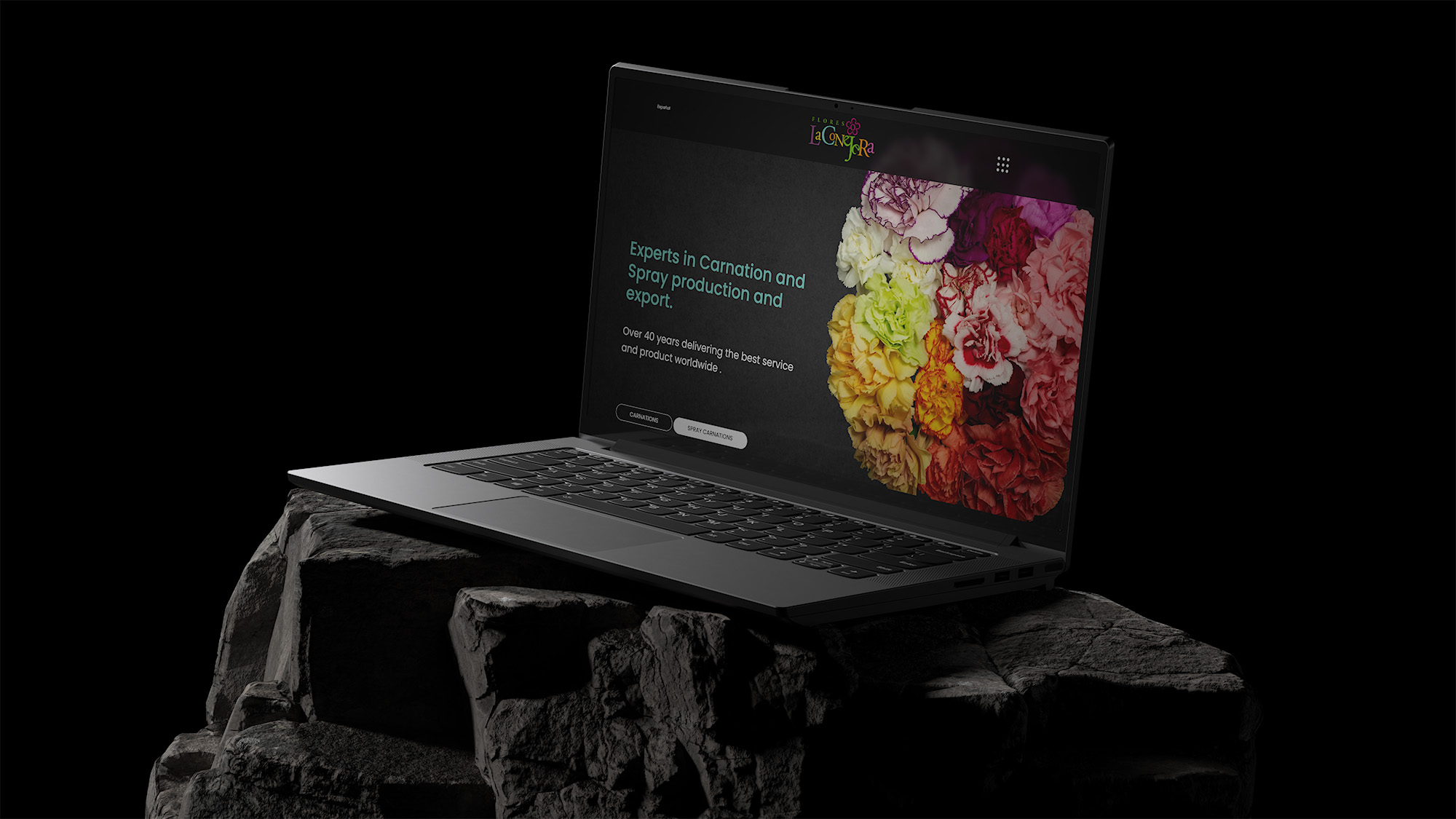 Diseño de páginas web Colombia