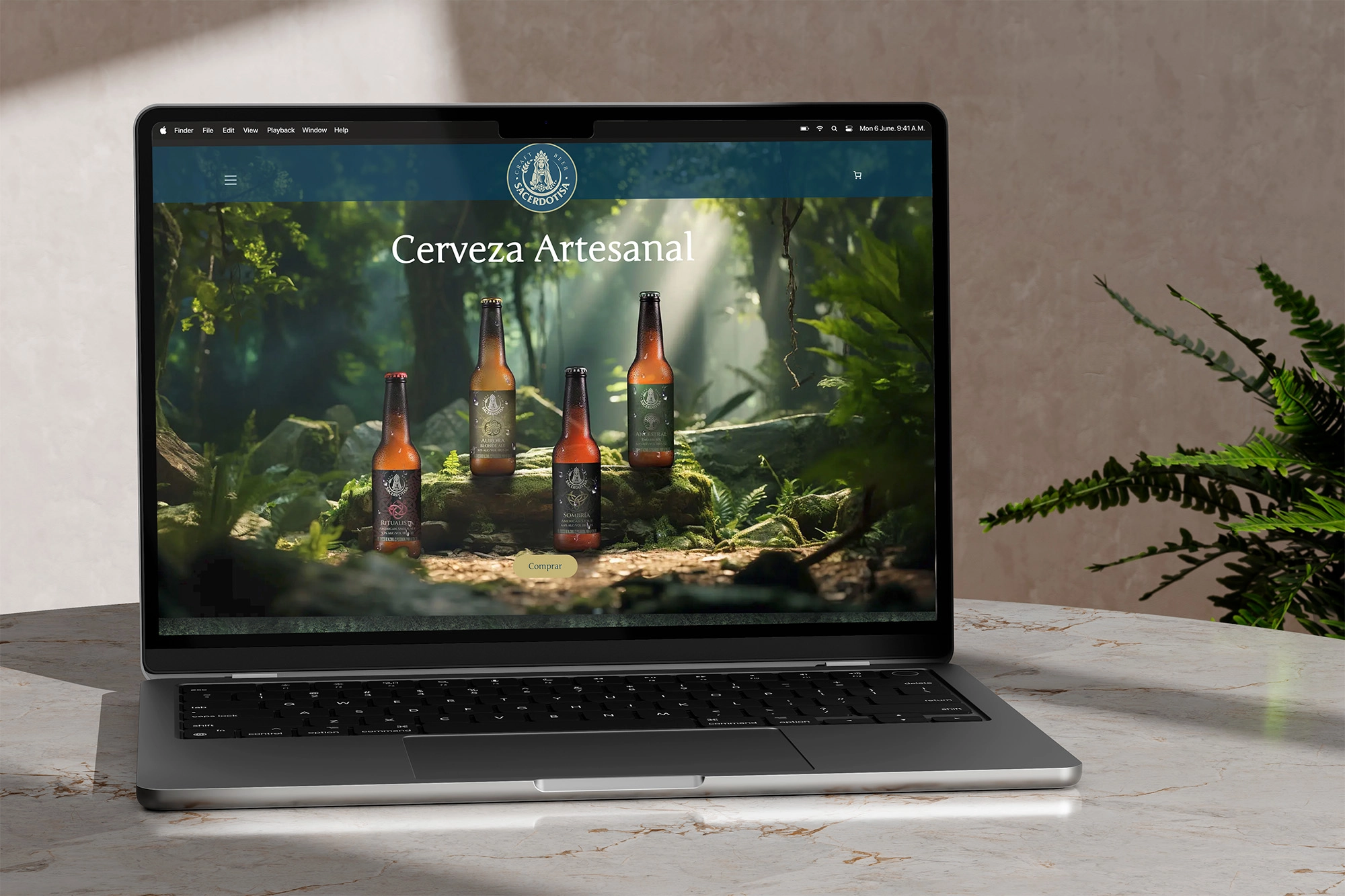 diseño web personalizado