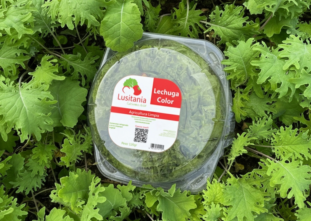 Diseño de Empaque Lusitania