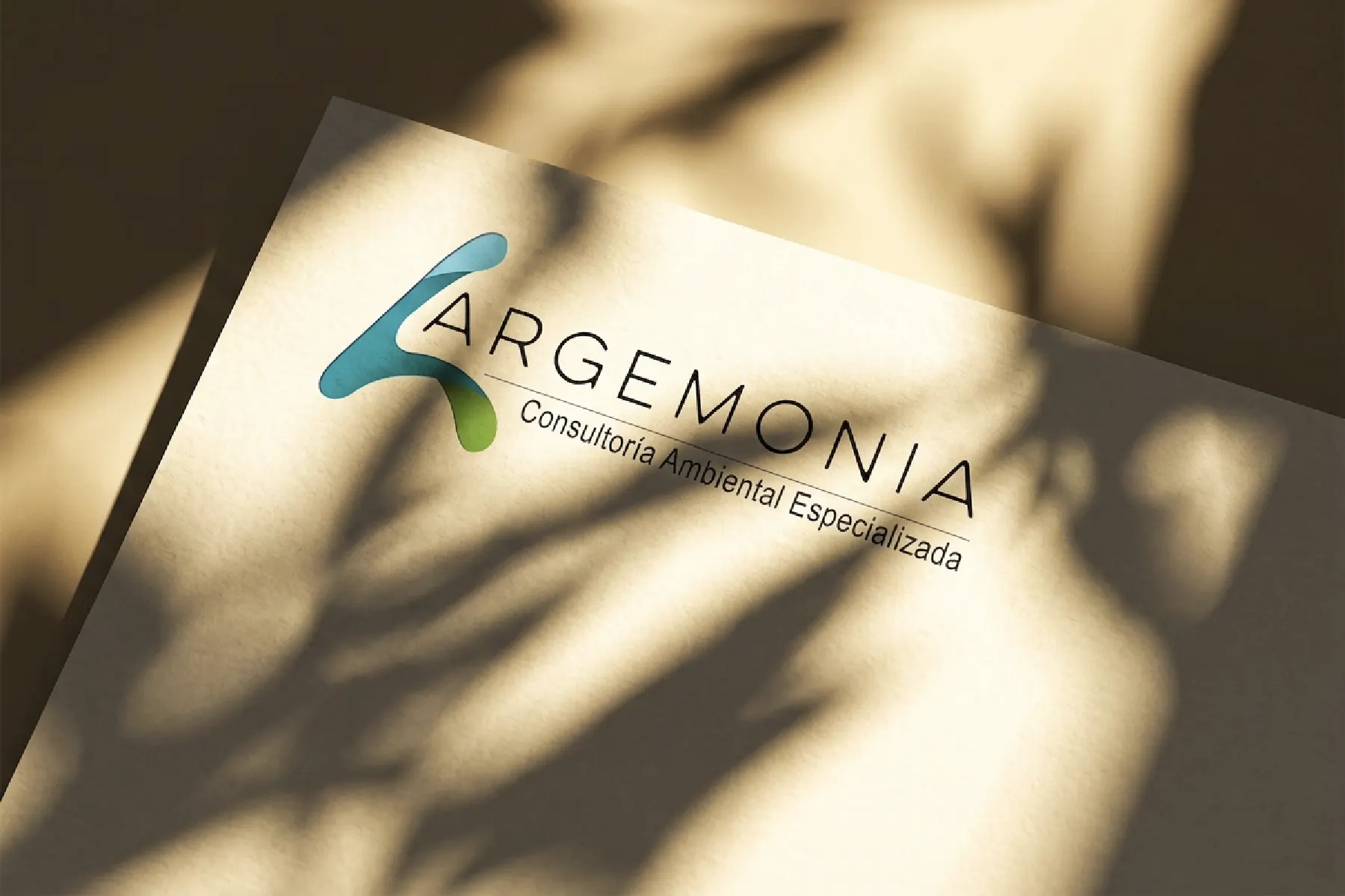 Identidad Visual & Branding Bogotá