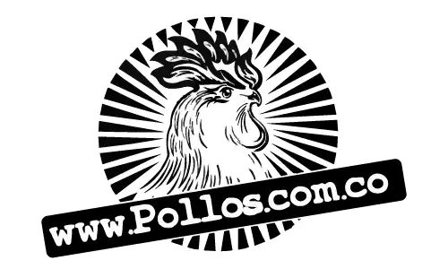 Hashtag Pollos