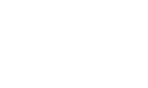 Bojanini Experts Perú