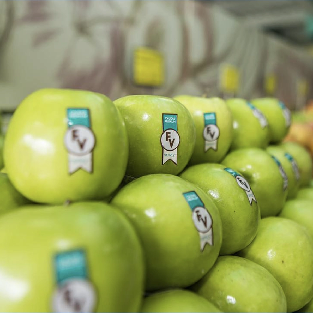 Marketing de contenidos Frutiver 1A